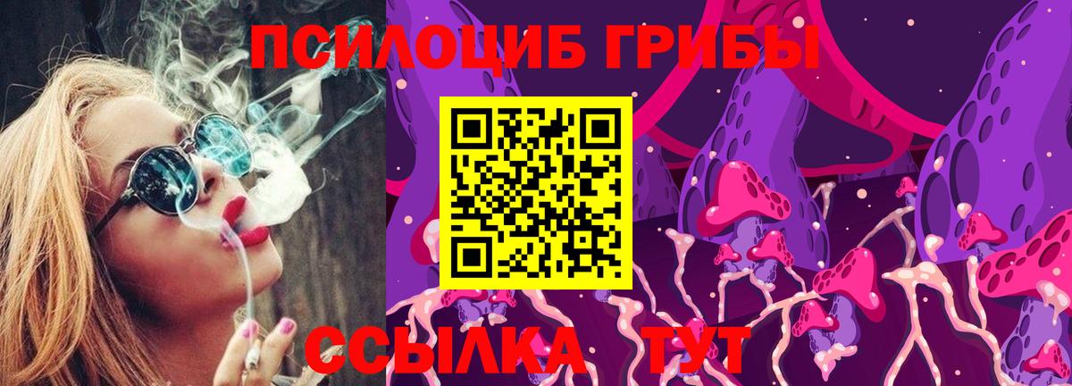 Псилоцибиновые грибы прущие грибы Кызыл