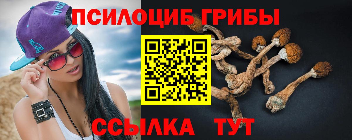Кызыл  купить наркотик  Вход с VPN  Галлюциногенные грибы мицелий 